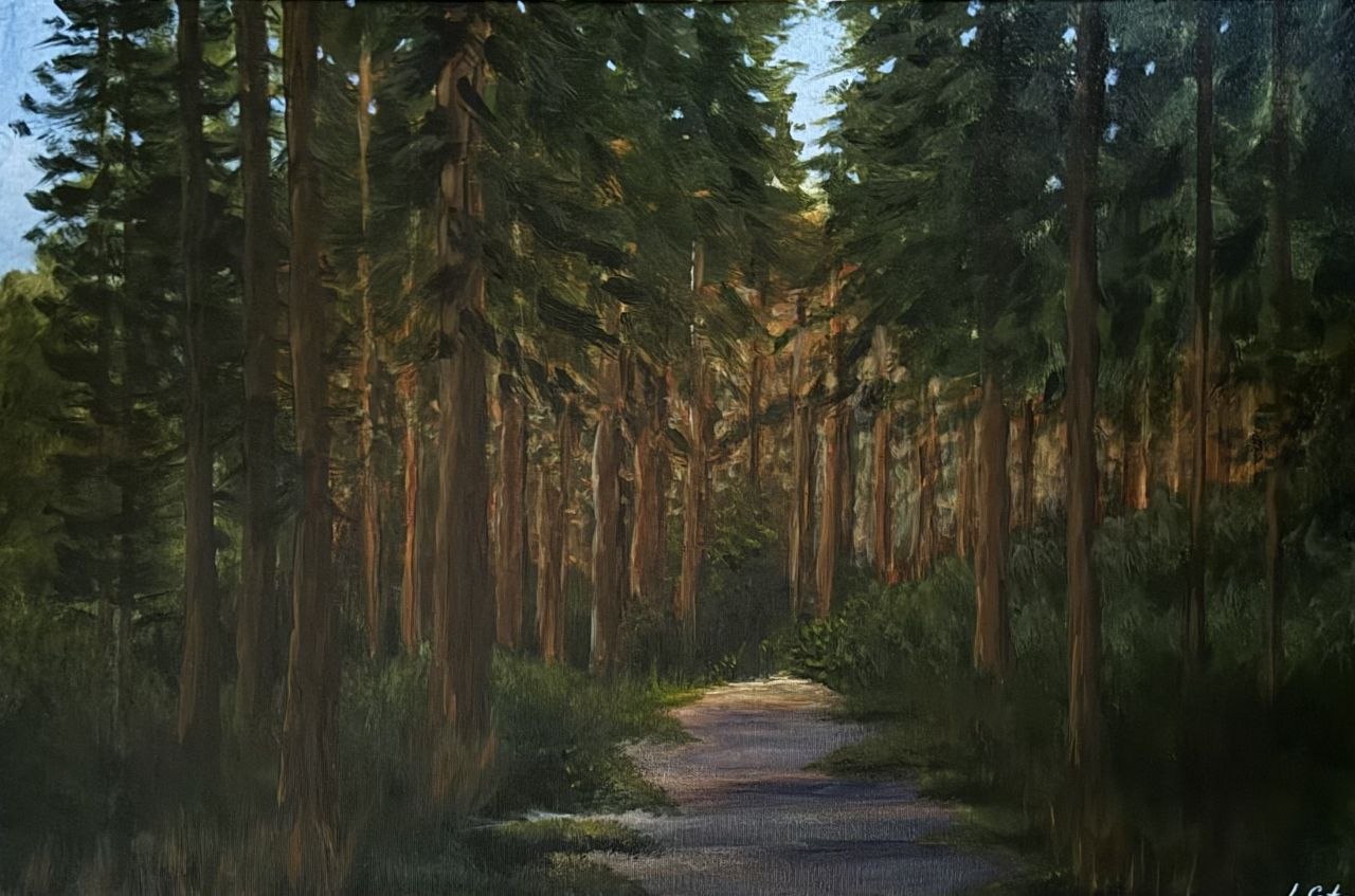 Forest Path